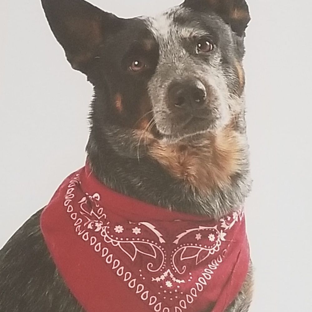 Meet your Posher, Christie